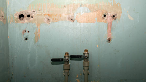 Best Mold removal after water damage  in Fairchance, PA