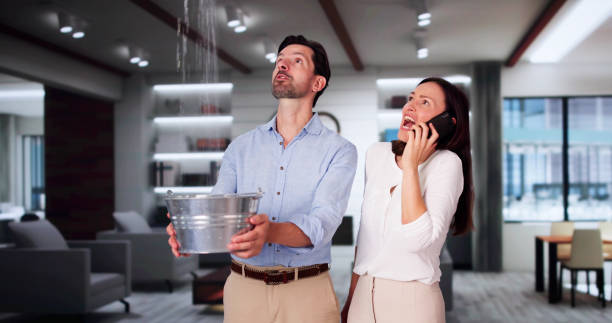 Best Water damage repair service  in Fairchance, PA